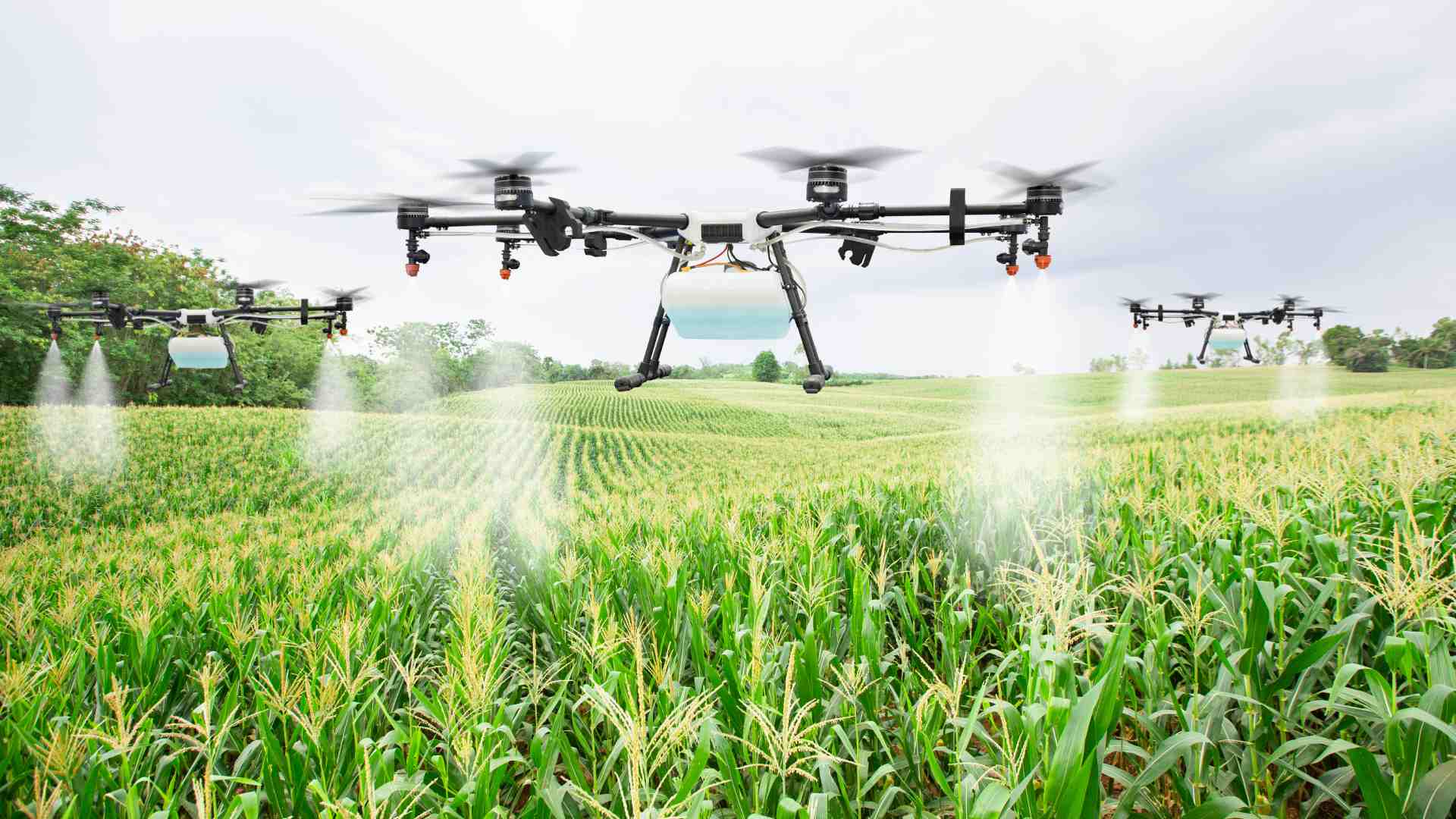 Vista aérea ilustrativa del monitoreo de un campo agrícola
